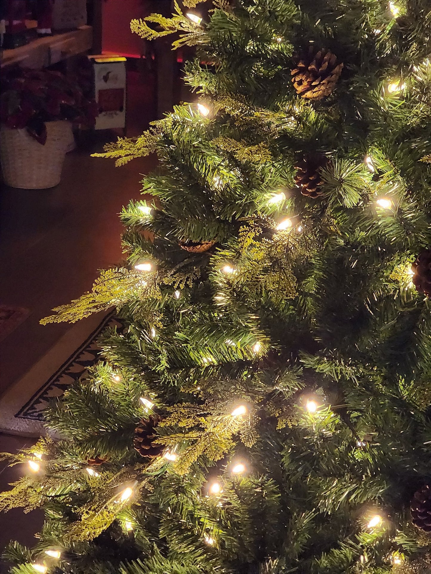 ÁRVORE REALISTA PINHEIRO CONSTELAÇÃO 400 LEDS WARM 1241 GALHOS 2,10CM MODELO CLICK BIVOLT