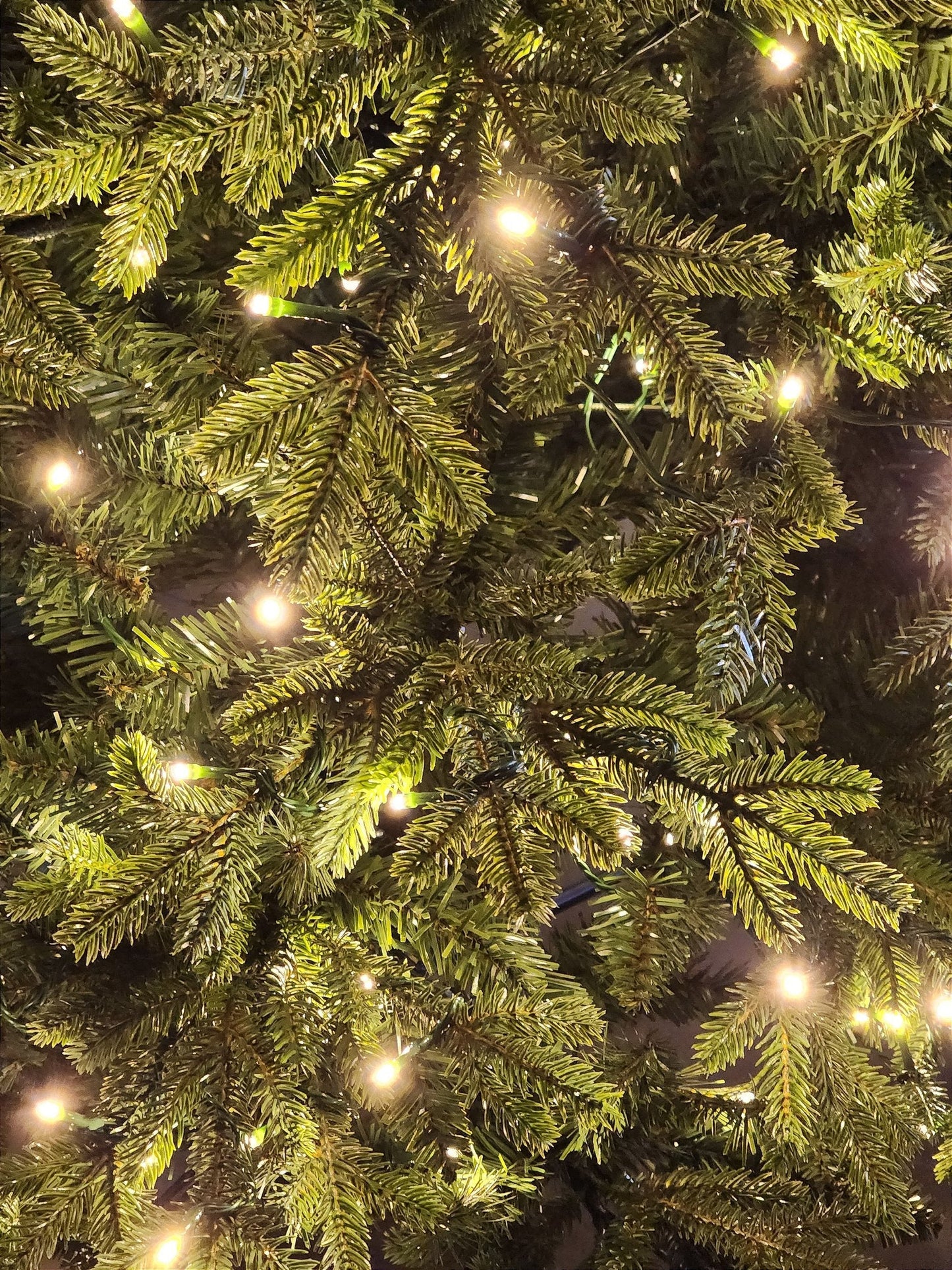 ÁRVORE REALISTA PINHEIRO AUSTRAL 2,10CM 450 LEDS WARM 801 GALHOS BIVOLT