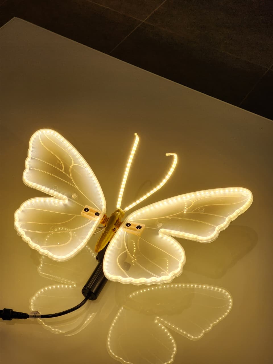 Borboleta Iluminada com LED e Movimento + Cabo Extensor