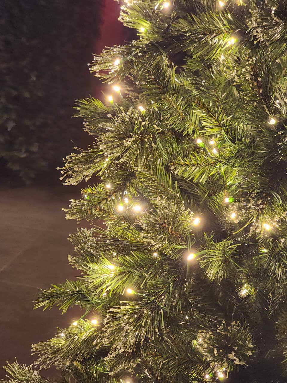 ÁRVORE PINHEIRO SINCELO 300 LEDS BICOLOR 860 GALHOS 2,10CM BIVOLT