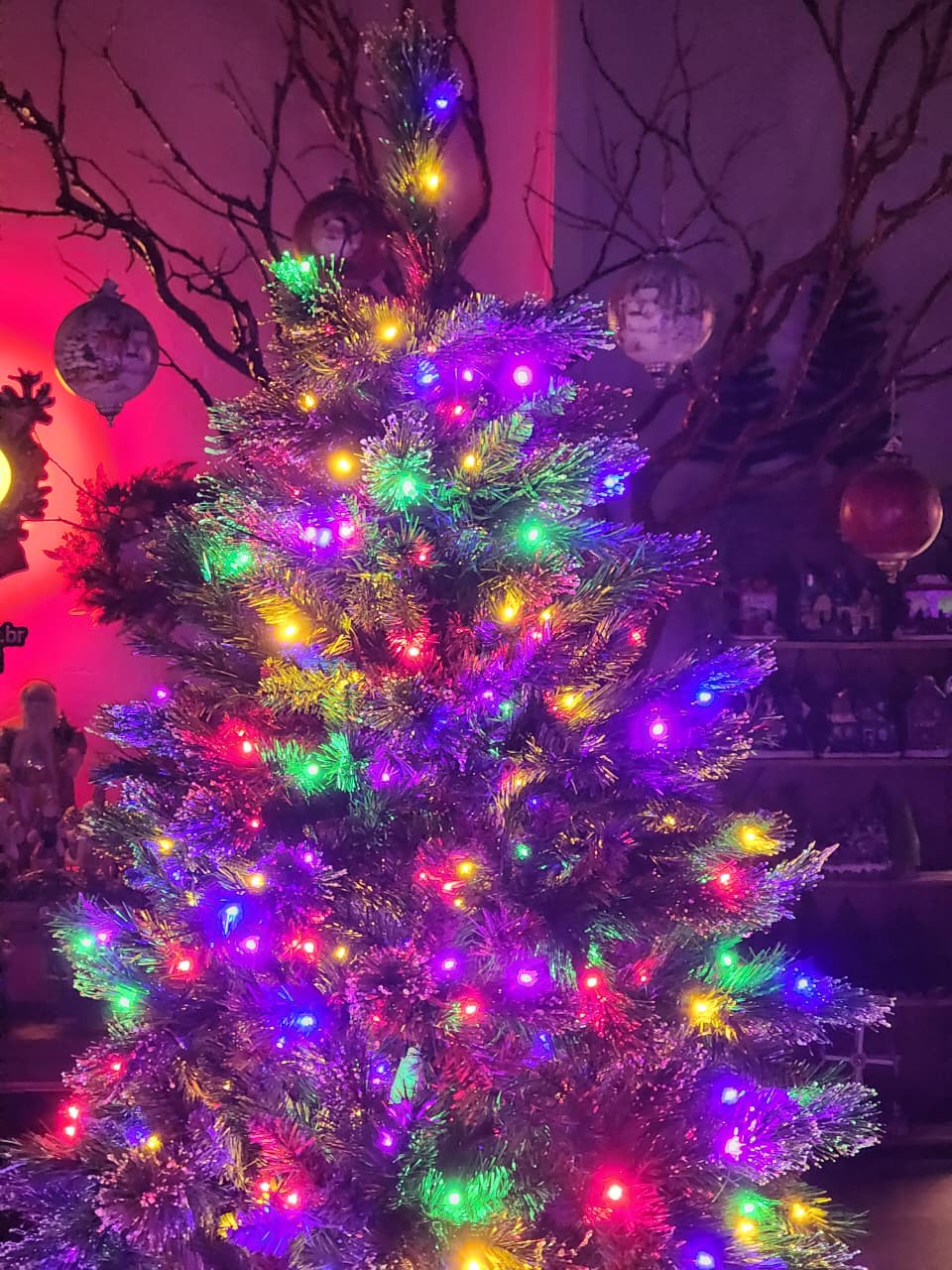 ÁRVORE PINHEIRO SINCELO 300 LEDS BICOLOR 860 GALHOS 2,10CM BIVOLT