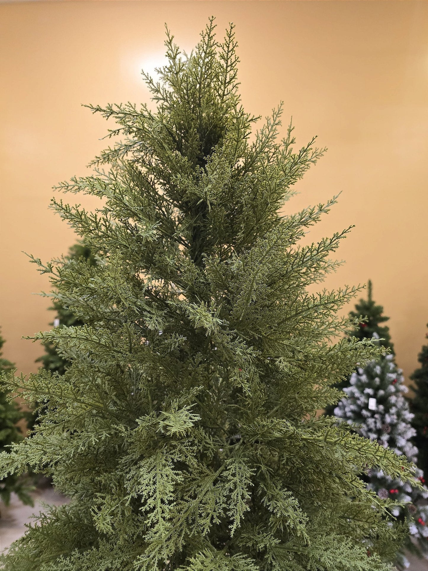 ÁRVORE PINHEIRO SUPER REALISTA NEW JERSEY 1240 GALHOS 2,10CM - PRÉ VENDA 2025